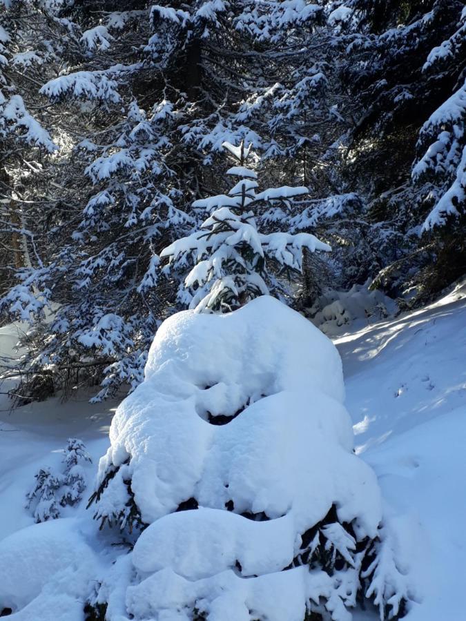 Tendershof Reschen Exteriör bild